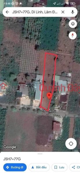 BEAUTIFUL LAND - GOOD PRICE - Land Lot For Sale Prime Location In Di Linh District, Lam Dong Sales Listings