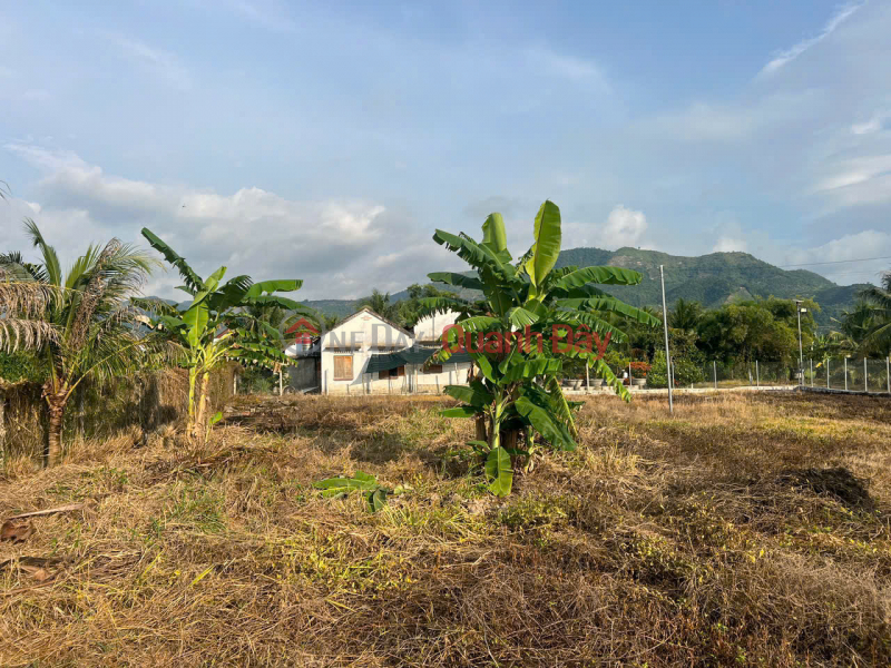 Property Search Vietnam | OneDay | Nhà ở Niêm yết bán, Suối hiệp _ Diên Khánh
Chính chủ cần bán nhanh Diện tích 956 có 120m thổ . 
Lô góc 2 mặt tiền bao đẹp.