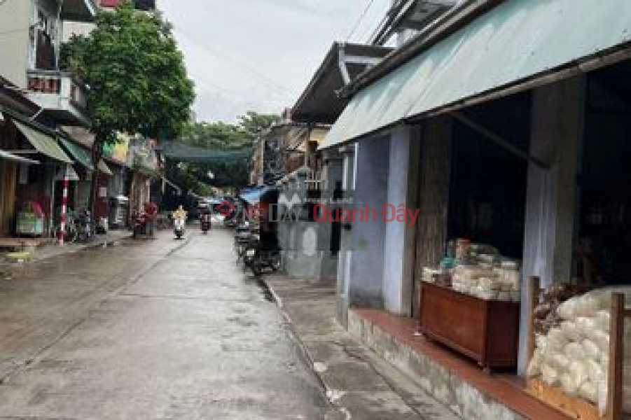 Urgent sale of 216m2 land in Tu Nhien Commune, Thuong Tin, Hanoi Sales Listings