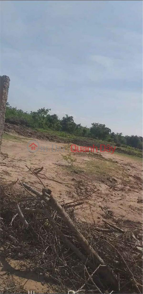 BEAUTIFUL LAND - GOOD PRICE - FOR SALE LOT OF LAND Beautiful Location In Phuoc Thai Commune, Ninh Phuoc District, Ninh Thuan _0