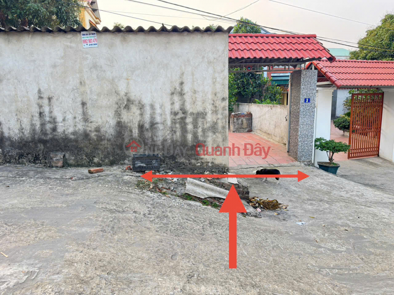 Đầu Tư Sinh Lời Hoặc An Cư Lý Tưởng Tại Thôn Xuân Lễ, Tân Dân, Sóc Sơn - Mảnh Đất 90m² Đắc Địa, Việt Nam | Bán đ 1,85 tỷ