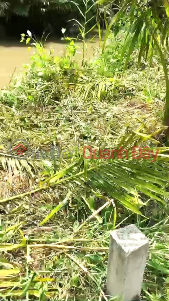 BEAUTIFUL LAND - PROFITABLE INVESTMENT - Owner Needs to Quickly Sell Land in Phu Tam Commune, Chau Thanh, Soc Trang, Vietnam | Sales | đ 470 Million