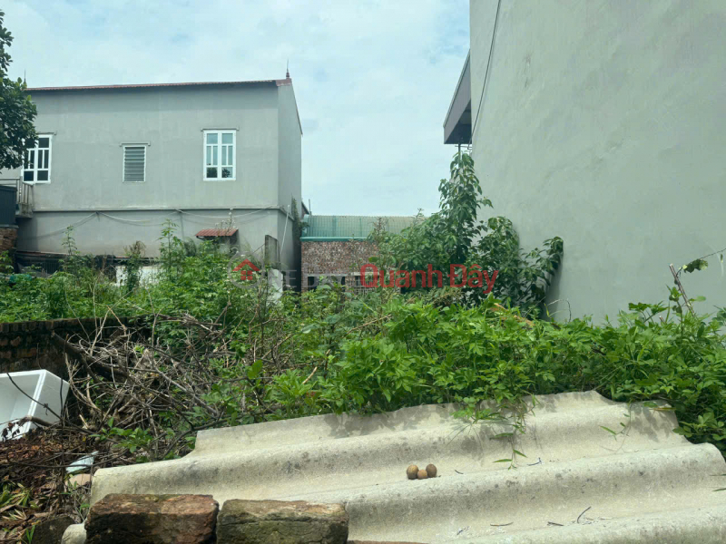 Property Search Vietnam | OneDay | Residential, Sales Listings, LAND FOR SALE 79.8M2 UY NO DONG ANH - CAR ACCESSIBLE ROAD