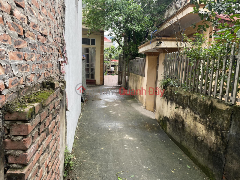 Property Search Vietnam | OneDay | Residential Sales Listings | PRIME LAND FOR OWNER - GOOD PRICE - 67.6m2 Land Lot For Sale In Yen Kien, Ngoc Hoi, Thanh Tri