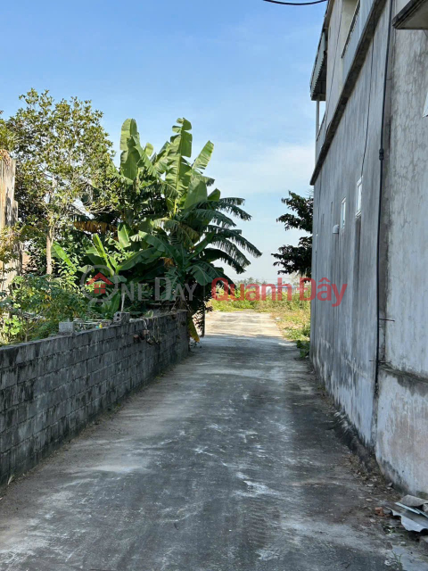 Lô 98m² giá 9xx triệu – rẻ nhất Thù Du Minh Tân ZALO 0567 222 555 _0