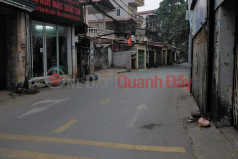 Land for sale with 2 lots in Tuu Liet - Thanh Tri - Hanoi _0