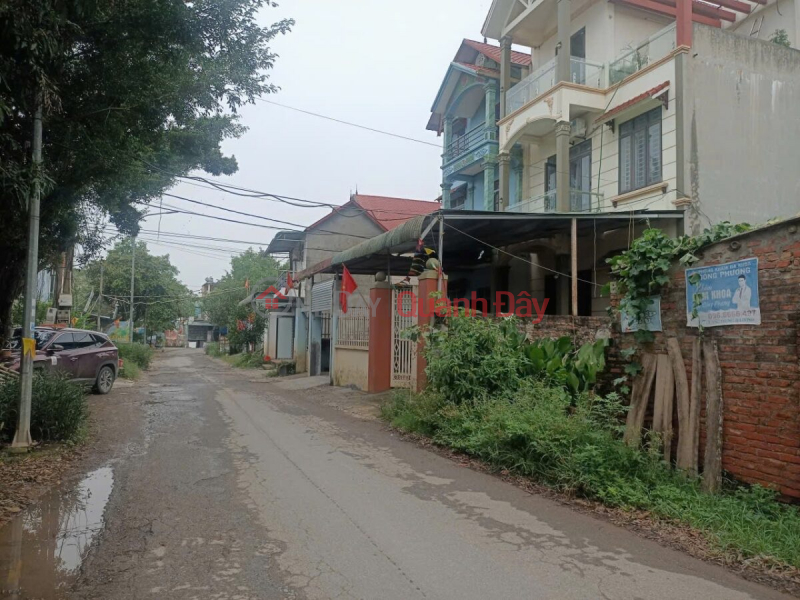 Property Search Vietnam | OneDay | Residential, Sales Listings, OWNER NEEDS TO SELL 119M2 LAND LOT IN DONG SON-CHUONG MY-HANOI