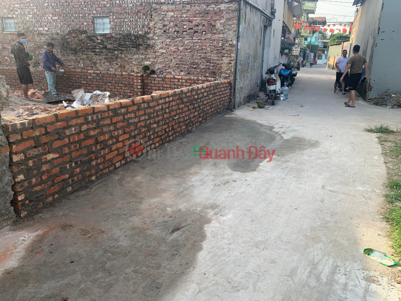 Property Search Vietnam | OneDay | Residential, Sales Listings | Land for sale in Co Duong, Tien Duong with an area of 70m2 right in front of the business street
