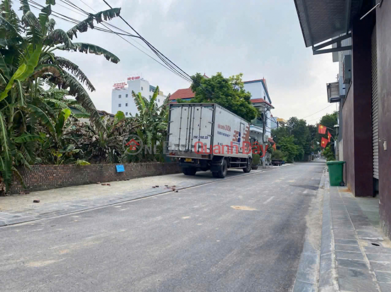 Property Search Vietnam | OneDay | Residential | Sales Listings | Land for sale in Nam Hong, Dong Anh. Under 4.8 billion VND, 146m2, suitable for residential and commercial use.