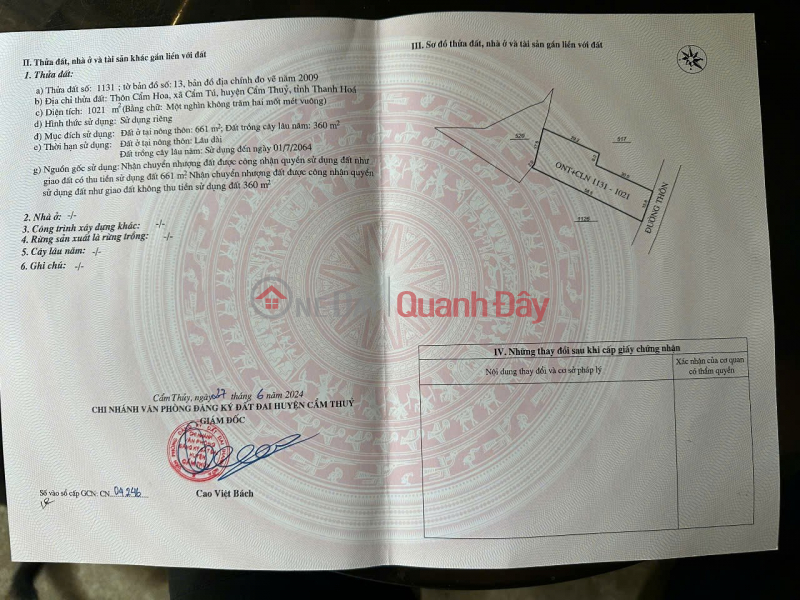 BEAUTIFUL LAND - GOOD PRICE - OWNER NEEDS TO SELL Land Lot In Cam Hoa Village, Cam Tu Commune, Cam Thuy, Thanh Hoa. Sales Listings