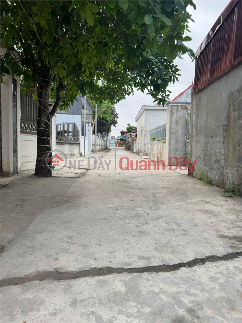 A stunning 178.9m2 property in Viet Tien, Dai Hop – with an impressive 10.45m frontage – right next to the resettlement area. _0