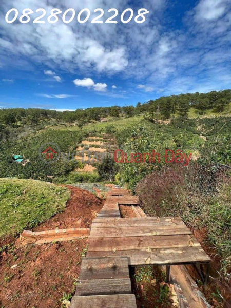 đ 4.5 Billion | Owner quickly sells 5518m2 of land in Xuan Truong, Da Lat, price 4.5 billion
