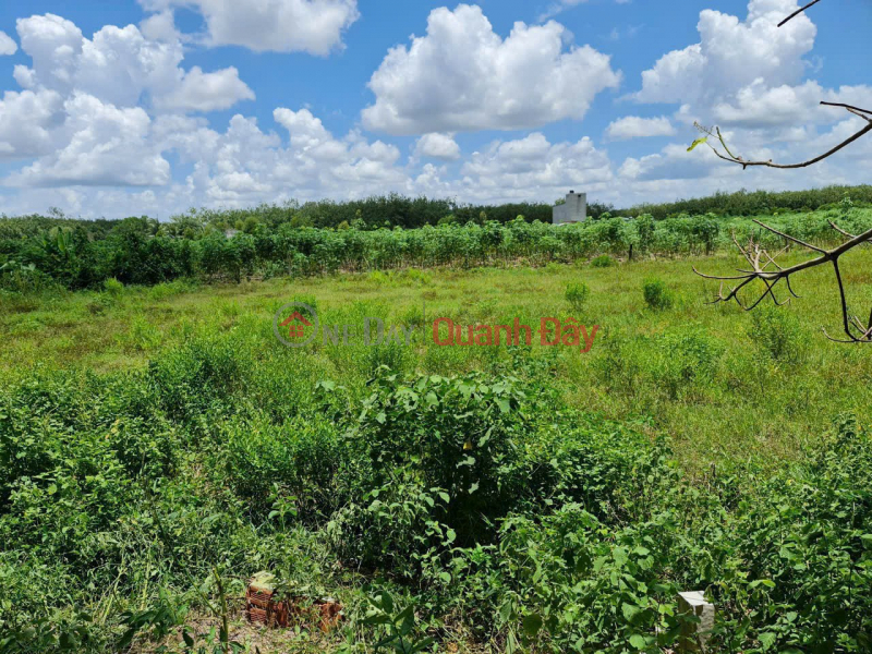 OWNER Needs To Quickly Sell A Plot Of Land In A Beautiful Location In An Co Commune, Chau Thanh District, Tay Ninh Province Sales Listings
