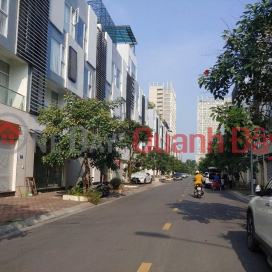 Bán nhà tuyến 2 Bùi Viện - Dự án WaterFront City - 114m 5 tầng - Thang Máy _0