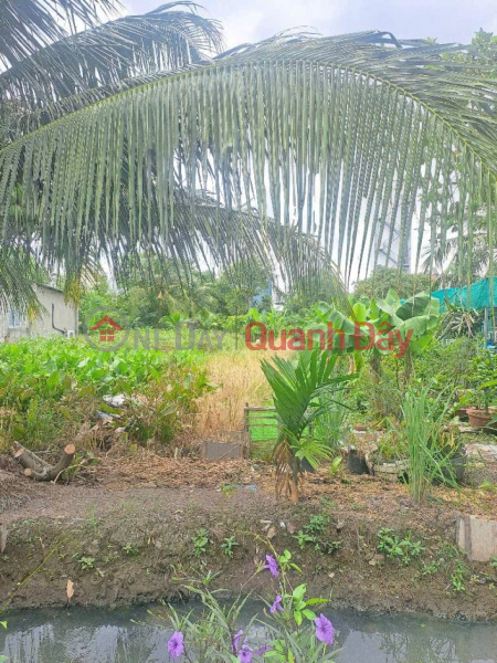 Property Search Vietnam | OneDay | Nhà ở | Niêm yết bán Đất Vuông SHR HXH 201m2 – Thạnh Xuân 33 Quận 12 SS