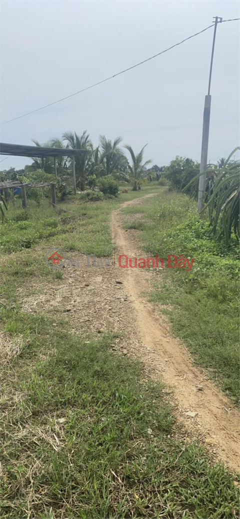 Own Right Now A Beautiful Land Lot Prime Location In Ham Hiep, Ham Thuan Bac Binh Thuan _0