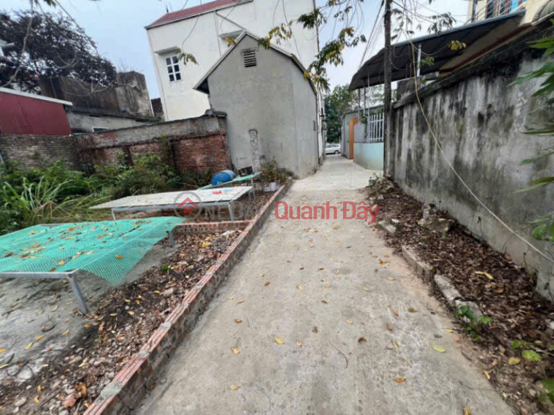 OWNER SELLS 43M2 LAND LOT IN PHU NGHIA - CHUONG MY WARD - HANOI Sales Listings