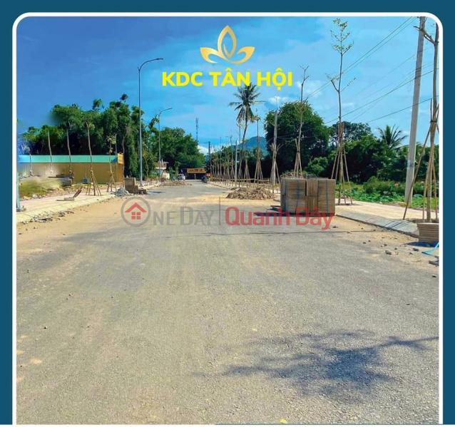 Property Search Vietnam | OneDay | Nhà ở, Niêm yết bán Về TP Phan Rang Tháp Chàm bạn không biết đầu tư BĐS tại khu vực nào. KDC Tân Hội đầu đường Thống Nhất nợi lựa