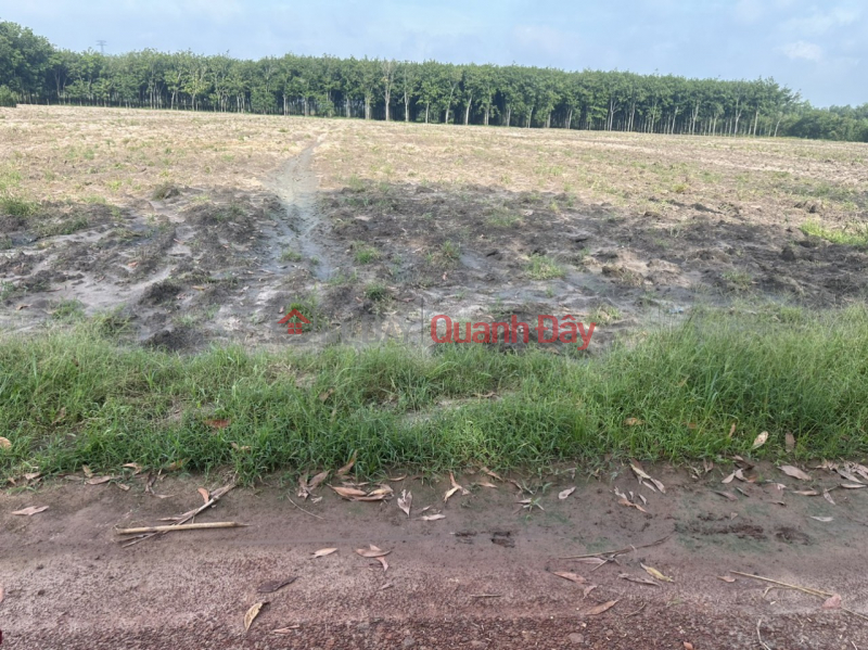 đ 600 Million BEAUTIFUL LAND - GOOD PRICE - FOR URGENT SALE BEAUTIFUL LOT OF LAND AT Ho Chi Minh Street Chon Thanh