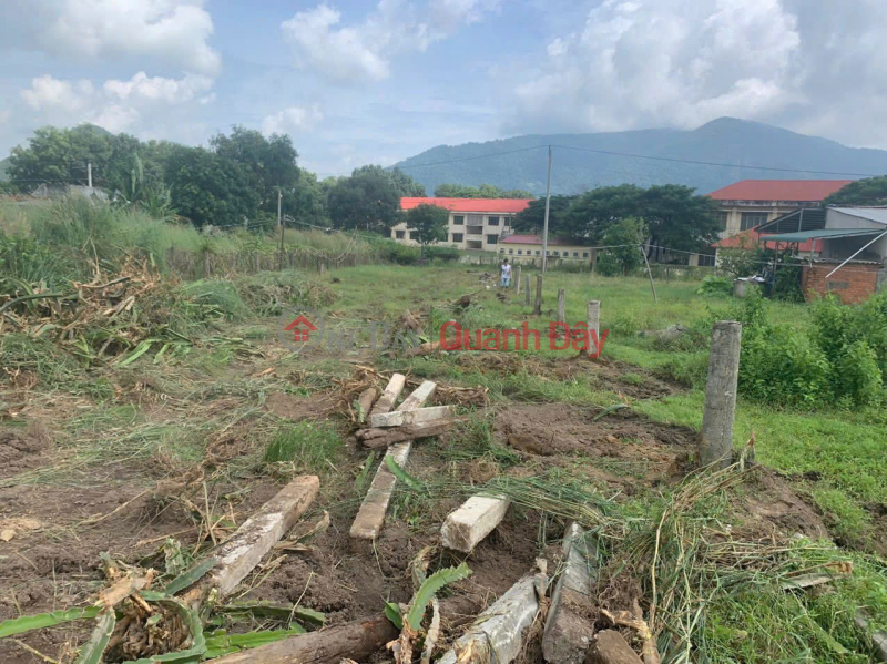 BEAUTIFUL LAND - GOOD PRICE - Owner Needs to Sell Land in BINH THUAN, WITH PLANNING ROAD RUNNING IN THE MIDDLE Vietnam Sales đ 1.62 Billion