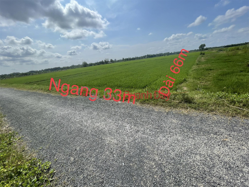 Property Search Vietnam | OneDay | Residential, Sales Listings OWNER NEEDS TO SELL LAND LOT QUICKLY, Prime Location In Chau Thanh, Tra Vinh Province