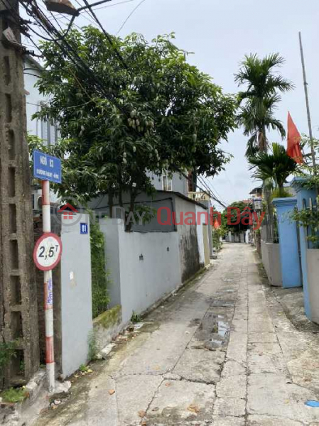 Property Search Vietnam | OneDay | Residential, Sales Listings | Land for sale, lane 93 Nam Hong, 100m x 8.8m for truck, divided into lots, price slightly 4 billion TL. Contact: 0936123469