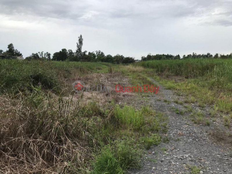 Land for sale in An Ha, Pham Van Hai commune, Binh Chanh, 50m2, price 450 million | Vietnam, Sales đ 6.35 Billion