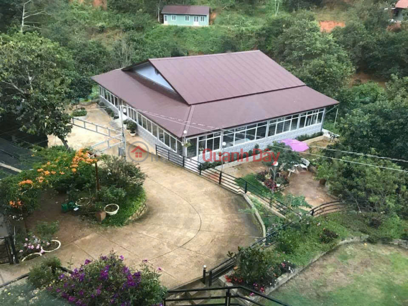 Cho thuê nhà 6 phòng homestay sức chứa 18 người giá 15 triệu tại đường Khe Sanh Đà Lạt Lâm Đồng Niêm yết cho thuê