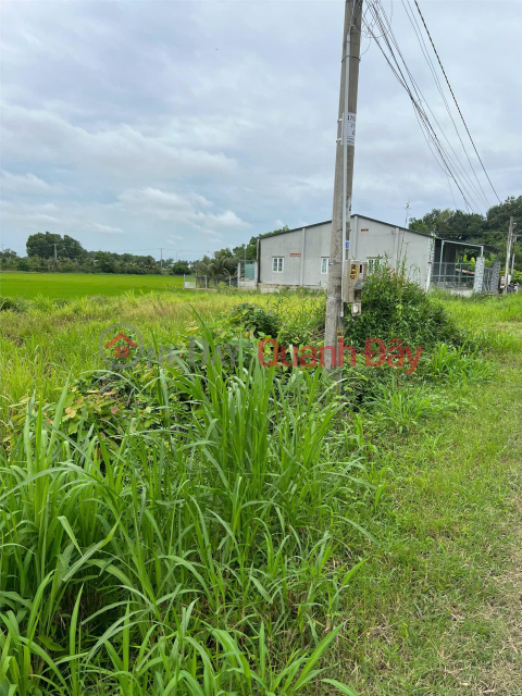 BEAUTIFUL LAND - GOOD PRICE - Owner Needs to Quickly Sell Land Lot in Long Giao Hamlet, Long Chu, Ben Cau, Tay Ninh _0