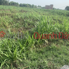 GENERAL FOR SALE QUICKLY Land Lot Great Location In Duong Minh Chau District, Tay Ninh _0