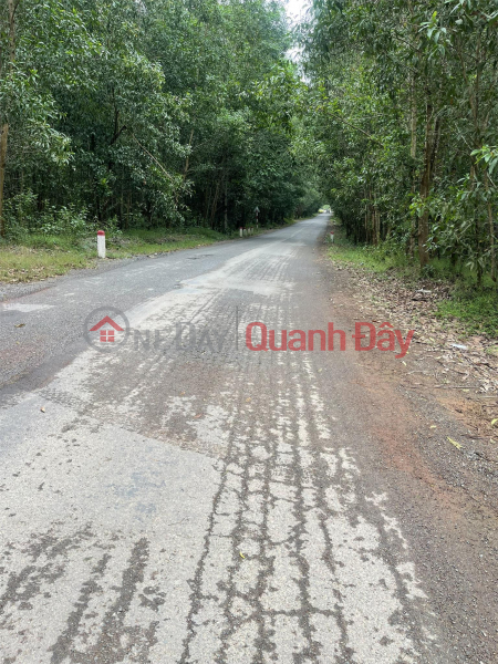 PRIME LAND - GOOD PRICE - For Quick Sale In Ben Khe Village, Khanh Binh Commune, Khanh Vinh, Khanh Hoa Vietnam, Sales | ₫ 3.4 Billion