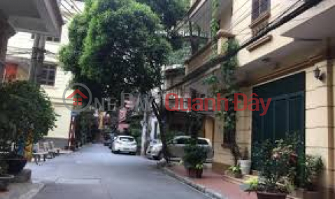 Bán Nhà ngõ 59 phố Láng Hạ DT: 131m2, Nhà xây 5 tầng giá 47,8 tỷ _0