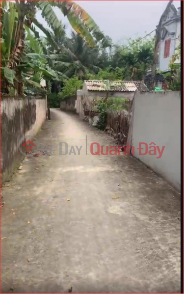 Property Search Vietnam | OneDay | Residential, Sales Listings, BEAUTIFUL HOUSE - GOOD PRICE - House for Sale In Hau Loc town, Hau Loc district, Thanh Hoa province