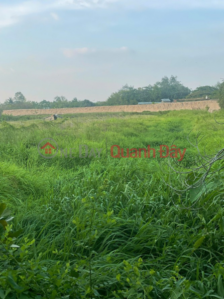 BÁN 3000M2 (15x200) - ĐẤT CÁI RĂNG, TP Cần Thơ - LỘ 91C 40m đang thi công - VIEW Sông gạch Ông Tiêm Niêm yết bán