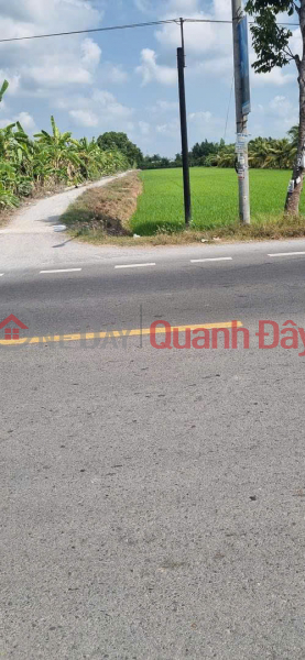 Property Search Vietnam | OneDay | Nhà ở Niêm yết bán | CHÍNH CHỦ Cần Bán Đất Tại Đường Quốc Lộ 61C, Thị trấn Bảy Ngàn, Châu Thành A, Hậu Giang