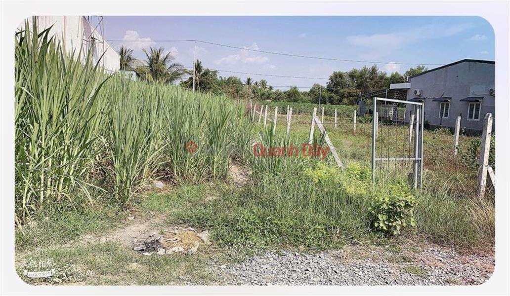 Immediately Own a Front Lot of Land in a Beautiful Location in Suoi Da Commune, Duong Minh Chau District - Tay Ninh Vietnam Sales ₫ 270 Million