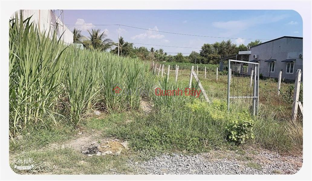 Immediately Own a Front Lot of Land in a Beautiful Location in Suoi Da Commune, Duong Minh Chau District - Tay Ninh, Vietnam Sales đ 270 Million