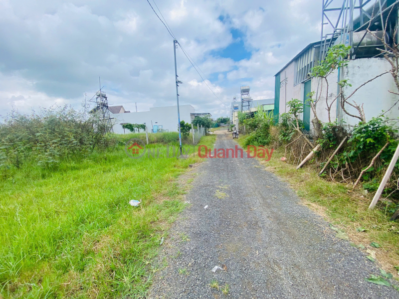 đ 1.05 Billion Land for sale, 115m2, Phu Hoi, Duc Trong, Lam Dong. Price: 1 billion 050 million VND.