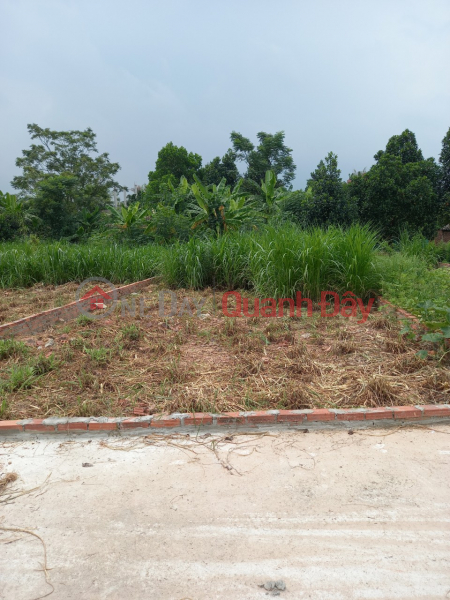 Property Search Vietnam | OneDay | Nhà ở, Niêm yết bán, Chủ gửi bán 122m2 đất KCN Sạch Minh Trí – Sóc Sơn, giá chỉ 800tr. Lh 0981568317