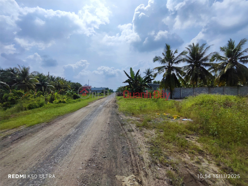 BEAUTIFUL LAND - GOOD PRICE - QUICK SALE 3 Plots of Land in Prime Location at Song Thuan, Chau Thanh, Tien Giang | Vietnam Sales đ 480 Million