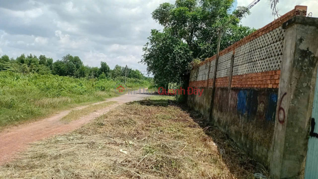 Property Search Vietnam | OneDay | Residential Sales Listings | PROFITABLE INVESTMENT – NEARLY 1,000M² GARDEN LAND FOR SALE, Tam Da Street, Long Phuoc Ward, District 9, Ho Chi Minh City