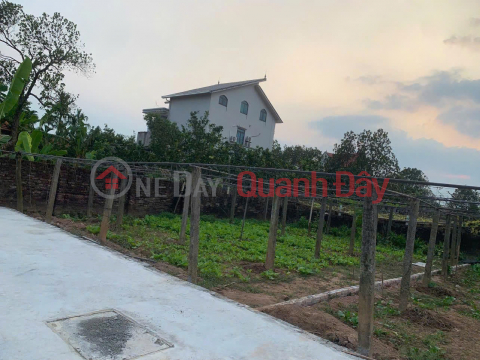 BÁN ĐẤT CÁCH MẶT ĐƯỜNG NHỰA 100M, VỈA HÈ 4M, KINH DOANH ĐỈNH, _0