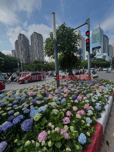 Bán Đảo Linh Đàm- Hoàng Mai- View Hồ Linh Đàm, Nhỉnh 14T.ỷ _0