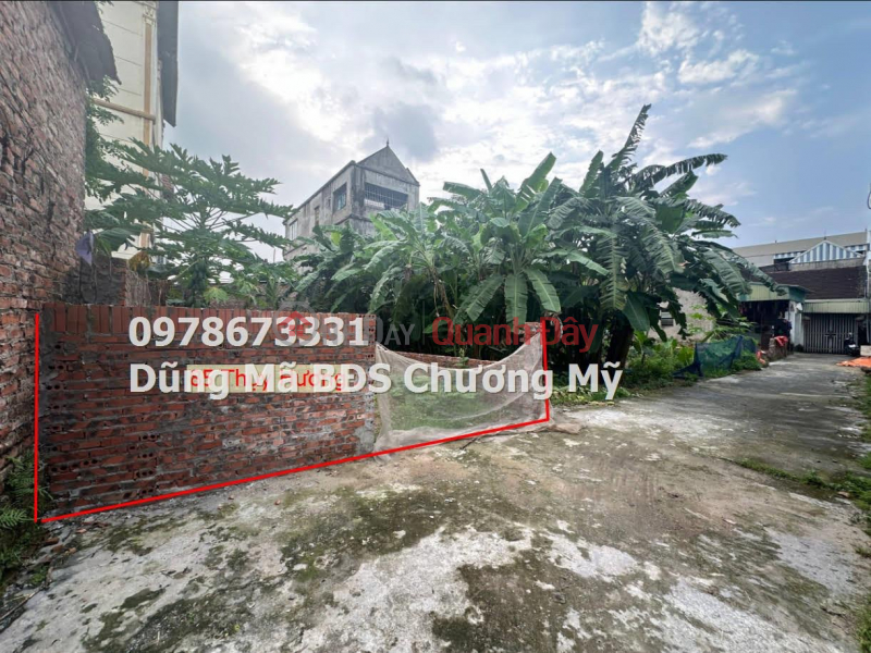 PRICE ONLY 1TY8 TO OWN A LOT OF LAND IN THUY HUONG-CHUONG MY Sales Listings