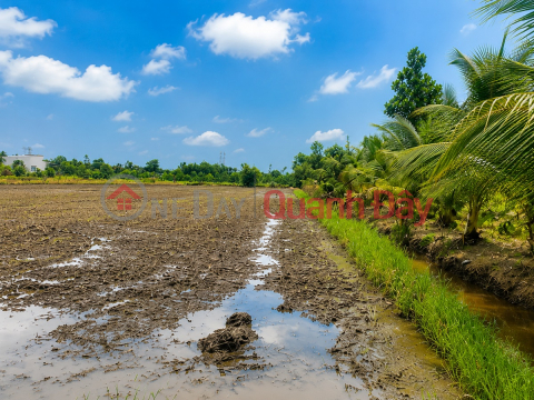 Chính chủ bán đất 300m² full thổ cư Hựu Thạnh – gần Đại học Tân Tạo, cách TP.HCM chỉ 28km _0