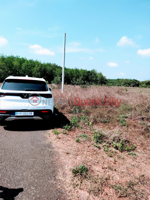GENERAL FOR SALE Urgent Land Lot Tan Loi Commune, Dong Phu - Extremely Cheap Price _0