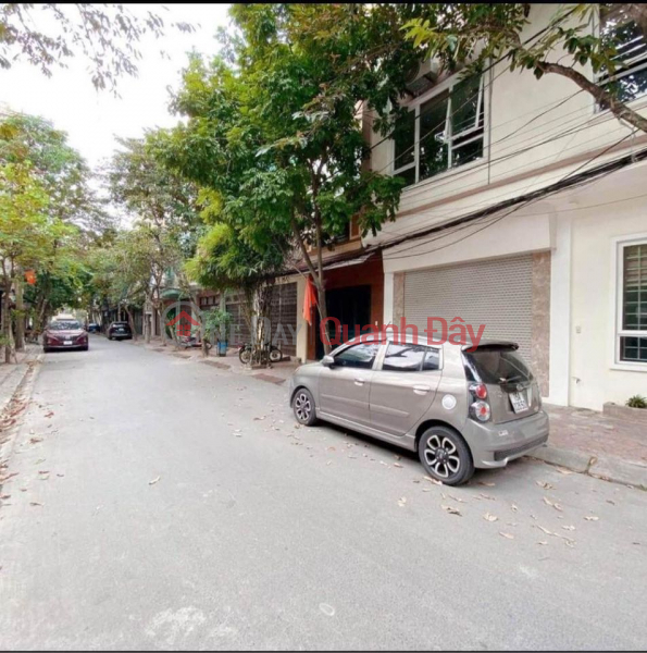BEAUTIFUL HOUSE FOR TET - Hung Yen Street Sales Listings