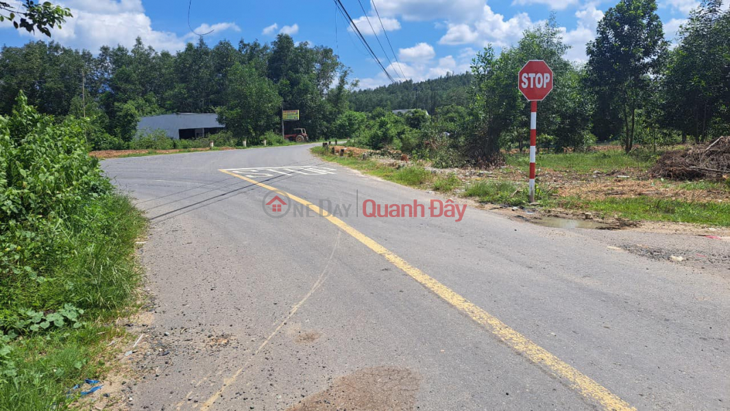 đ 310 Million | SUPER HOT! QUICK SALE OF 3 LOT OF RESIDENTIAL LAND, SHOCKING PRICE FOR OWNER IN KHANH BINH - KHANH VINH!