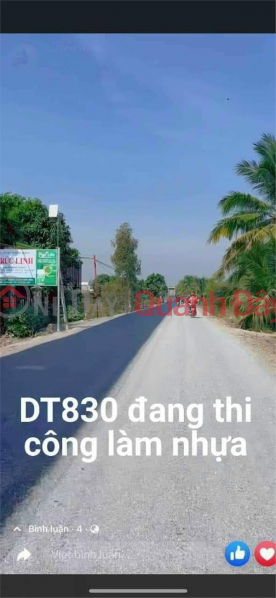 Own a Prime Land Lot - BEAUTIFUL LOCATION In Hoa Khanh Tay Commune, Duc Hoa - Long An Sales Listings