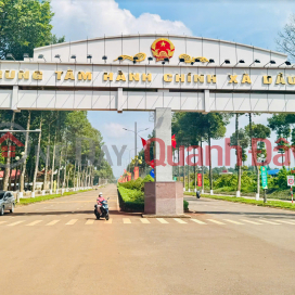 Invest in The Link City today – price appreciation along the Dau Giay development axis. _0